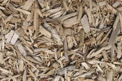 biomass boilers Mottistone